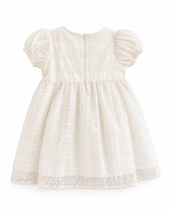 Elegant Eco-Friendly Breathable Embroidered Mesh Baby Girl Knee-Length Dress with Lace Trim for Vintage Style - Product Image 1