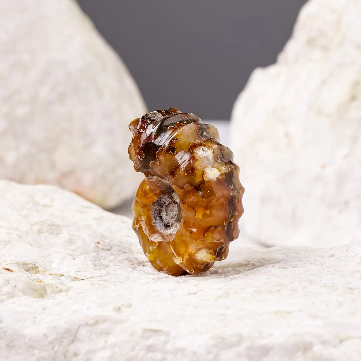 자연 도매 영적 치유 공예 양 뿔 달팽이 화석 가정 장식