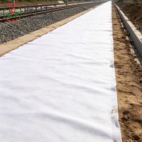 Géotextile à filament continu WSL 380g pour la stabilisation du ballast ferroviaire avec mur de soutènement ASTM et construction routière