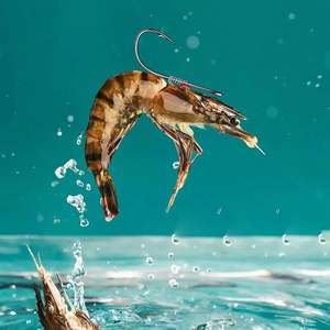 Grombolar Köderset mit lebensechten Garnelen und Widerhaken aus kohlenstoffreichem Stahl, lockt Süß- & Salzwasserbarsche, Karpfen und Welse an - Product Image 3