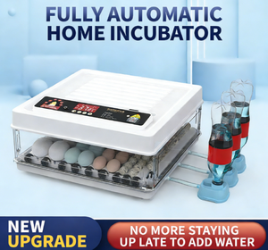 卵孵化器 工場直送 競争力のある価格 大量購入対応 - Product Image 6