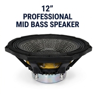 Haut-parleur de subwoofer passif professionnel en néodyme de 12 pouces, 800W 8ohm AES, haut-parleur de basses haute puissance, enceinte compacte pour système Line Array