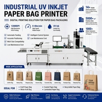 Impresora Inteligente de Inyección de Tinta UV, Automática, de Alta Velocidad, para Empaquetado de Papel, Kraft Marrón, Kraft Blanco, Comercio Minorista