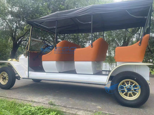 Fabricante Chino de Autos Clásicos de Lujo Hechos a Mano para Transporte Turístico en Hoteles, Autos Clásicos Vintage - Product Image 6