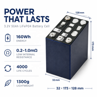BSY -TB 3.2V 50Ah LiFePO4 Grado A 4000 Cicli Batterie al Litio Prismatiche 3.2V LiFePO4 50Ah per Accumulo di Energia Solare