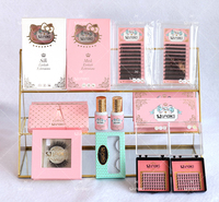 Papillon boîte d'emballage de cils personnalisé logo vison cils kit tout en 1 cils ensemble avec de la colle pince silicone applicateur étui en carton