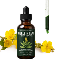 Gouttes liquides naturelles de feuilles de molène à marque privée OEM/ODM – Booster anti-gueule de bois, complément oral de feuilles, suppléments de santé à base de plantes