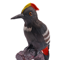Modelo de simulación de animales, equipo educativo, espécimen de pájaro carpintero