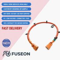 Harness Sensor Sistem Manajemen Baterai (BMS) yang Dapat Disesuaikan, Kabel Pengambil Sampel Baterai Lithium, Kabel Sinyal Penyimpanan Energi