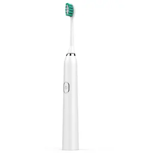 Brosse à dents électrique sonique avec fréquence de vibration à 5 vitesses de 38000 fois par minute IPX7 étanche à l'usine de Shenzhen