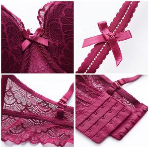 Set <span class=keywords><strong>reggiseno</strong></span> e mutandine in pizzo da donna Li Yan alla moda Lingerie Sexy con sezione sottile francese 1/2 <span class=keywords><strong>mezza</strong></span> tazza di pizzo Sexy <span class=keywords><strong>reggiseno</strong></span> intimo da donna - Product Image 2