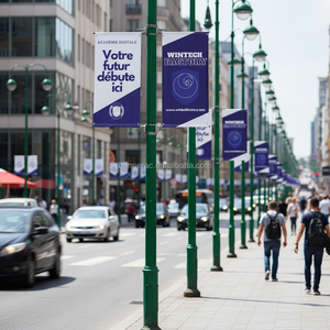 Poste de Luz de Acero Inoxidable con Acabado Antioxidante, Altura Ajustable <span class=keywords><strong>para</strong></span> Publicidad Exterior y Banderas de Calle - Product Image 6