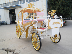 Carruaje de Cenicienta en Venta, Transporte Especial, Carruaje de Fantasía de Princesa Calabaza, Carruaje Eléctrico en Venta - Product Image 6