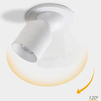 Spot encastré Zoomable 7W COB LED Spotlight pour interrupteur de télécommande de cabinet de centre commercial