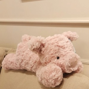 Peluche super douce de style Jellycats, série animale, ours, lion, cochon, chien, jouet avec coton PP, petite poupée bouclée - Product Image 1