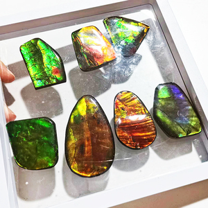 Bán Sỉ Đá Ammolite Tự Nhiên Đá Ammolite Hình Thức Miễn Phí Được Đánh Bóng Đá Quý Nhiều Màu Sắc Cắt Để Làm Trang Sức - Product Image 5