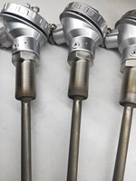 Termometer Digital Akurasi Tinggi Kelas A Tipe-K N E J Pt100 Pt1000 INCONEL600 Kustomisasi OEM/ODM Probe IP67 0.1C