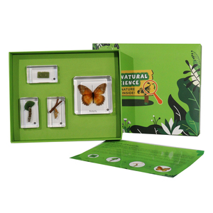 Vòng đời khối Nhựa trong suốt cao của Bộ dụng cụ bướm mẫu nhựa đồ chơi giáo dục cho trường tiểu học - Product Image 1