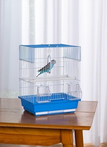 Flat Top economia <span class=keywords><strong>parrocchetto</strong></span> e piccola gabbia per uccelli con filo bianco, Base in plastica colorata con vassoio rimovibile, gabbia per uccelli portatile - Product Image 3