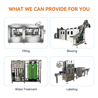 Machine industrielle de rinçage, remplissage et bouchage entièrement automatique à grande vitesse pour bouteilles PET d'eau potable pure et minérale