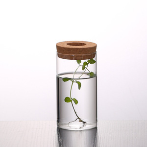 Station de propagation classique pour plantes en <span class=keywords><strong>terrarium</strong></span>, pots en verre transparent pour plantes hydroponiques, décoration de sol et de maison - Product Image 4