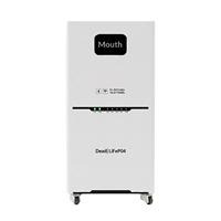 Batterie de stockage d'énergie domestique sur pied LiFePO4 51.2V 314Ah avec Bluetooth et Wi-Fi pour système de stockage d'énergie solaire photovoltaïque