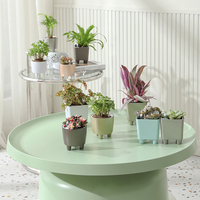 Jardinière auto-arrosante en plastique PP avec indicateur de niveau d'eau, finition cuite, design moderne pour intérieur, maison, jardin, bureau