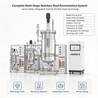 Système de Fermentation Multi-Étapes en Acier Inoxydable avec Agitation Mécanique et Contrôle PID, Capacité 5L-50000L, pour la Fermentation des Acides Aminés