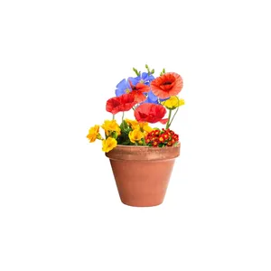 Cápsula con Semillas de Flores, Gadgets Ecológicos - Product Image 2