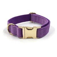 Colliers de luxe en velours pour chiens et chats, avec boucle dorée et gravure laser, pour petits et moyens animaux – Vente en gros transfrontalière directe usine