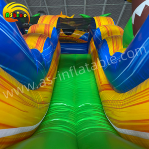 Toboganes Inflables, Toboganes Acuáticos Inflables Directo de Fábrica, Toboganes Inflables para Entretenimiento para Eventos - Product Image 4