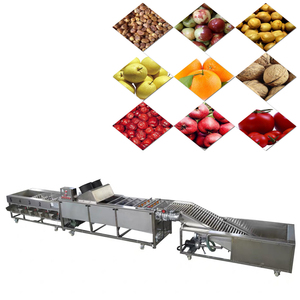 Machine de tri de tomates et d'avocats à économie d'énergie, très vendue, fabriquée en Chine - Product Image 2