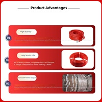 Câble chauffant électrique à puissance constante parallèle RDP2-J3 pour la protection contre le gel et la maintenance de la température des pipelines industriels