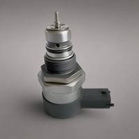 Katup Regulator Tekanan Diesel Common Rail Performa Tinggi Baru Konektor Soket Oval 2-Pin OE 0281002017 Bersertifikasi IATF 16949