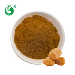 Top Quality Private Label Organic 100% Pure Polysaccharides 50% Water Soluble Lions Mane Mushroom Extract Powder