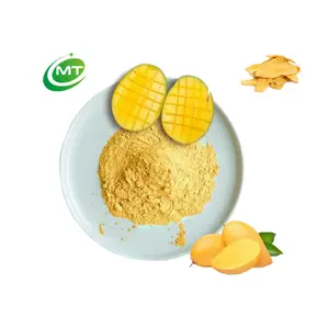 Suppléments de qualité alimentaire naturels purs sans additifs poudre de mangue lyophilisée biologique en gros