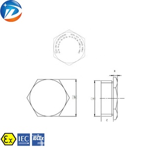 Tapón <span class=keywords><strong>de</strong></span> Rosca <span class=keywords><strong>Macho</strong></span> NPT Métrico G IP66 <span class=keywords><strong>de</strong></span> Latón y <span class=keywords><strong>Acero</strong></span> <span class=keywords><strong>Inoxidable</strong></span>, Impermeable y a Prueba <span class=keywords><strong>de</strong></span> Explosiones, con Certificado ATEx IECEx - Product Image 2