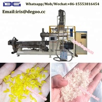 Fabriqué en Chine Jinan DG 500 kg/h Fortifiée riz Extrudeuse Machine/Riz Nutritionnel ligne de Production