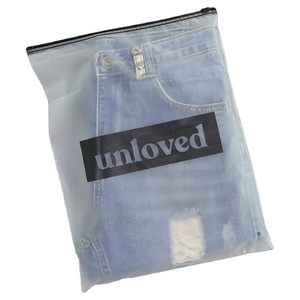 Eco Friendly Digital Printing Plastic Frosted Zipper Bags For Clothes Jewelry Accessories Packaging Bags Zip Lock Bag