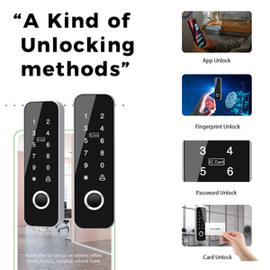 Système de contrôle d'accès Tuya Wifi TTlock avec empreintes digitales, RFID, porte, avec logo personnalisable intelligent et clavier - Product Image 2