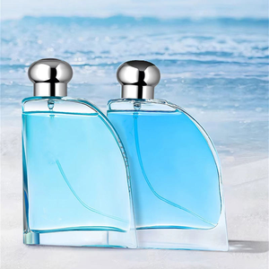 Perfume al por Mayor OEM/ODM Blue Pour Homme, Fragancia Masculina Amaderada Fresca y Duradera, Spray Corporal de 100 ml - Product Image 4