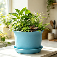 Plateau de pot de fleurs classique en résine pour plantes d'intérieur/extérieur, décoration de jardin et de maison, durable, pour bonsaï, fleurs, succulentes, pothos, avec drainage