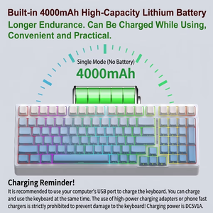 Tastiera Meccanica da Gaming Heiji Snake YG98 con Illuminazione RGB e Connessione a Tre Modalità, Hot-swappable - Product Image 5