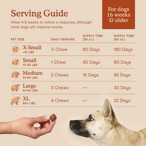 Probióticos para Perros con Prebióticos, Marca Privada OEM ODM, Promueve un Microbioma Intestinal Equilibrado, Refuerza la Salud Inmunológica, Masticables Blandos - Product Image 4