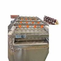 Machine à laver la canne à sucre, brosse de nettoyage pour canne à sucre, machine à laver les fruits et légumes (gingembre, manioc, pommes de terre)