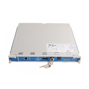 En Stock, Nuevo y Original, Módulo de Interfaz de Datos 3500/22-01-01-R0, Repuestos para Sistema de Monitoreo Bently Nevada - Product Image 4