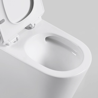 WC monobloc South Villa Nouveau Modèle avec siphon P/S, design anti-gel, chasse d'eau Tornado et Vortex pour salle de bain