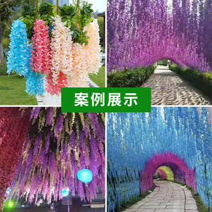 Fei Shuo Simulated Wisteria Flower Wall Hanging Violet Artificial Flower Vine Dense <b>Decorative</b> Strips Wedding Ceiling <b>Decoration</b> - Product Image 5