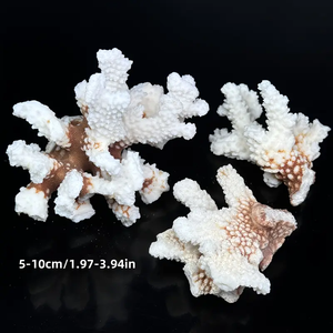 Coral Blanco Natural en Bruto, Cristalino, para Regalo, Decoración Feng Shui, Venta al Por Mayor - Product Image 6