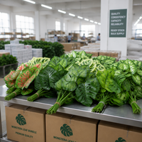 Feuilles artificielles de Monstera, fausses feuilles de Scindapsus, verdure décorative pour la maison, les mariages, les bureaux, vente en gros, résistantes aux UV, ODM